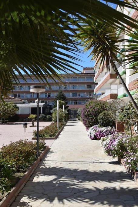 Alegre Apto Con Piscina, A 300M De La Playa. Blanes Ngoại thất bức ảnh