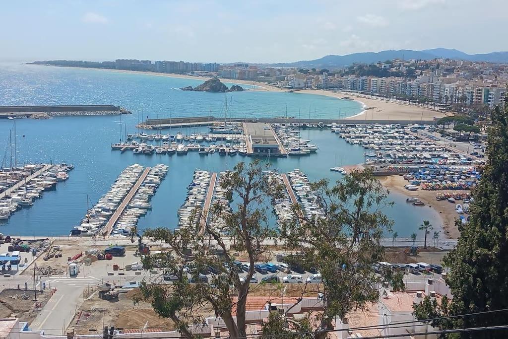 Alegre Apto Con Piscina, A 300M De La Playa. Blanes Ngoại thất bức ảnh