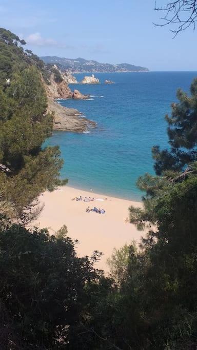 Alegre Apto Con Piscina, A 300M De La Playa. Blanes Ngoại thất bức ảnh