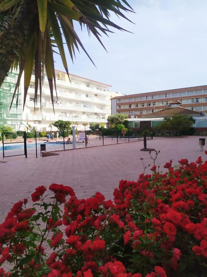 Alegre Apto Con Piscina, A 300M De La Playa. Blanes Ngoại thất bức ảnh